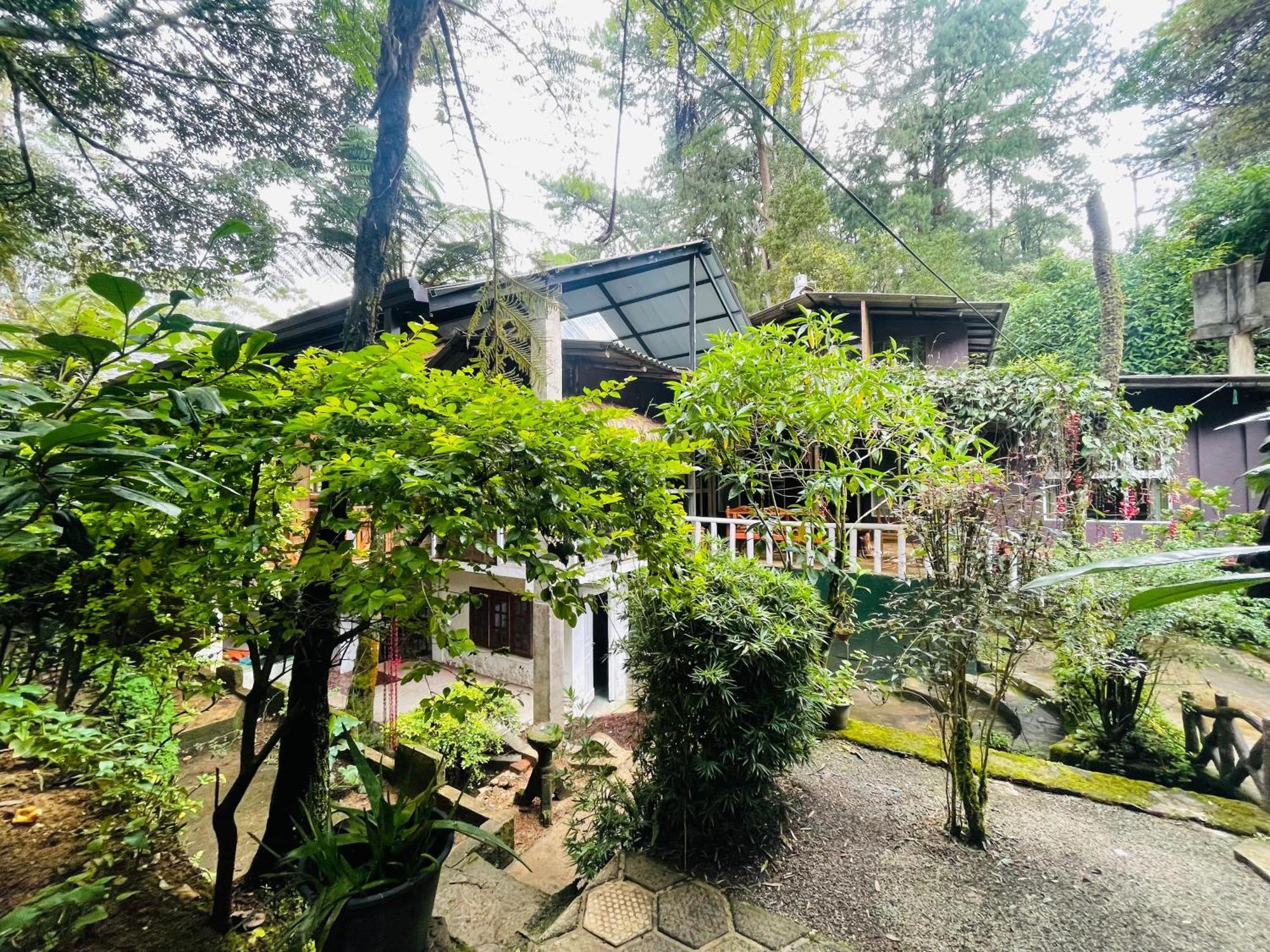 King Fern Cottage Nuwara Eliya Ngoại thất bức ảnh