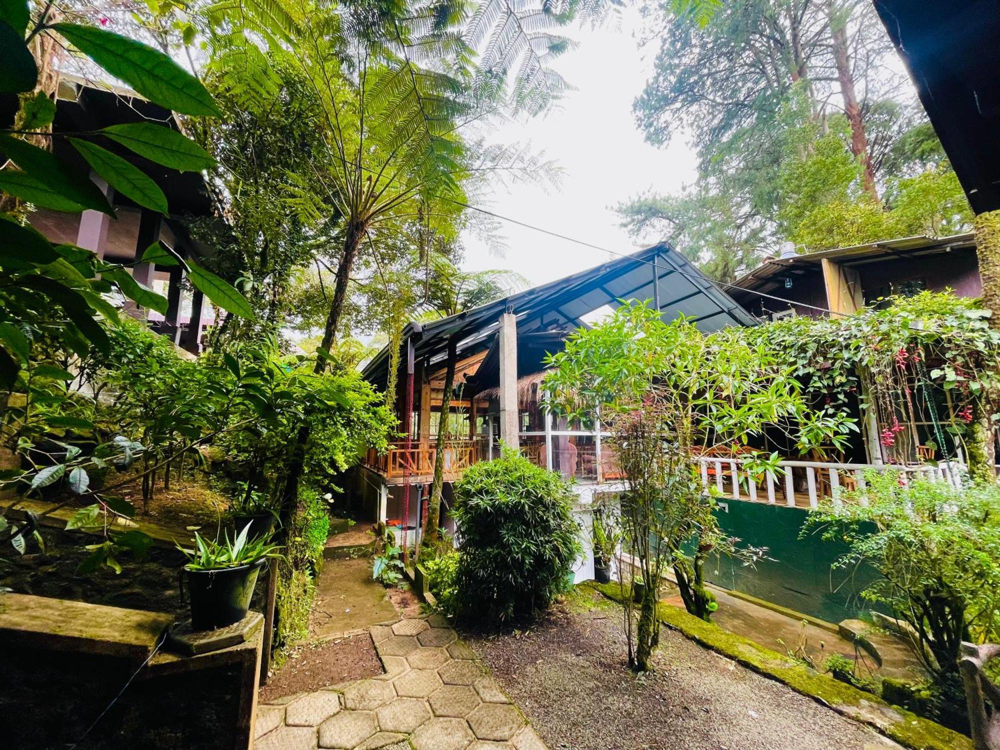 King Fern Cottage Nuwara Eliya Ngoại thất bức ảnh