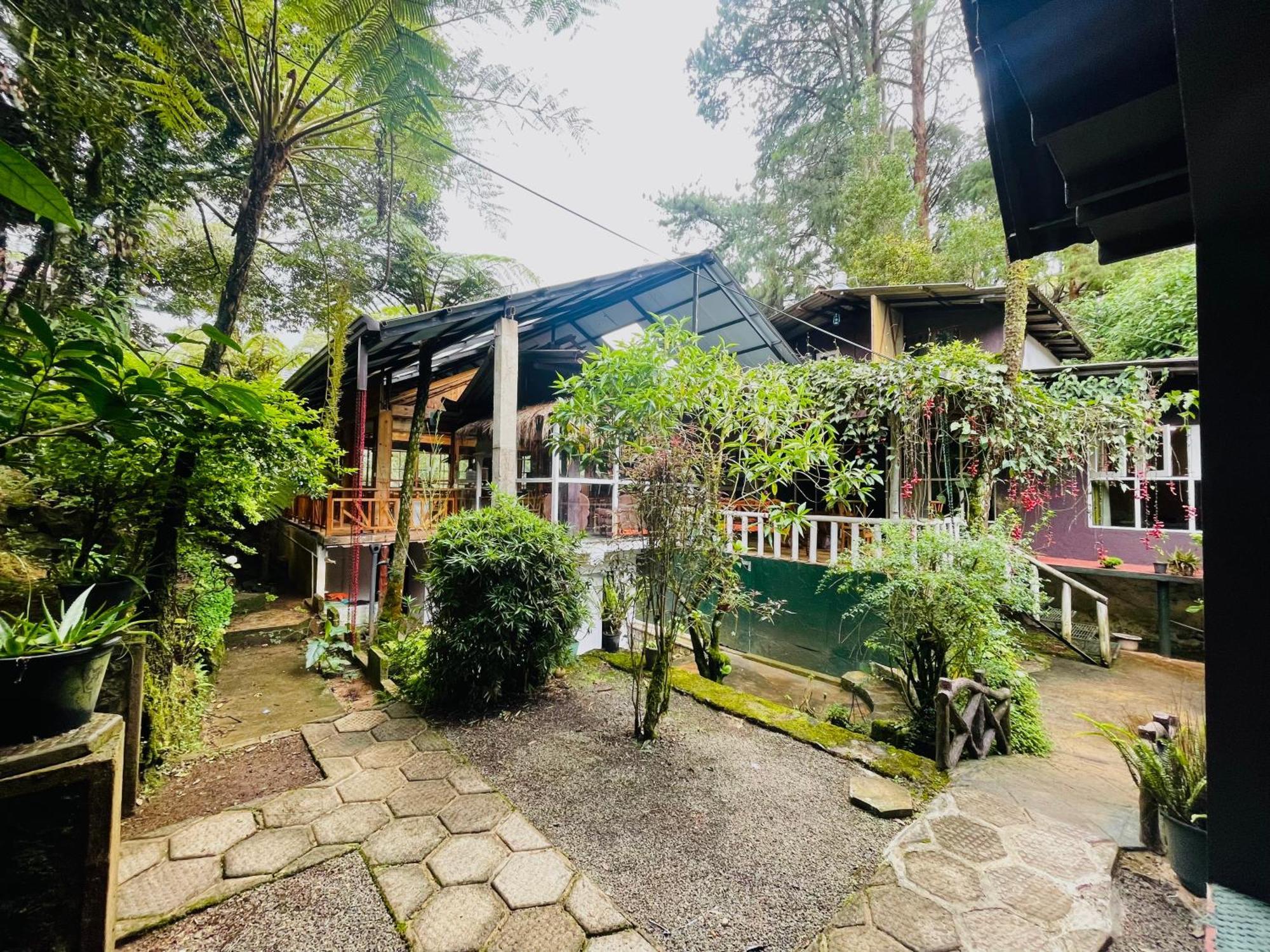 King Fern Cottage Nuwara Eliya Ngoại thất bức ảnh