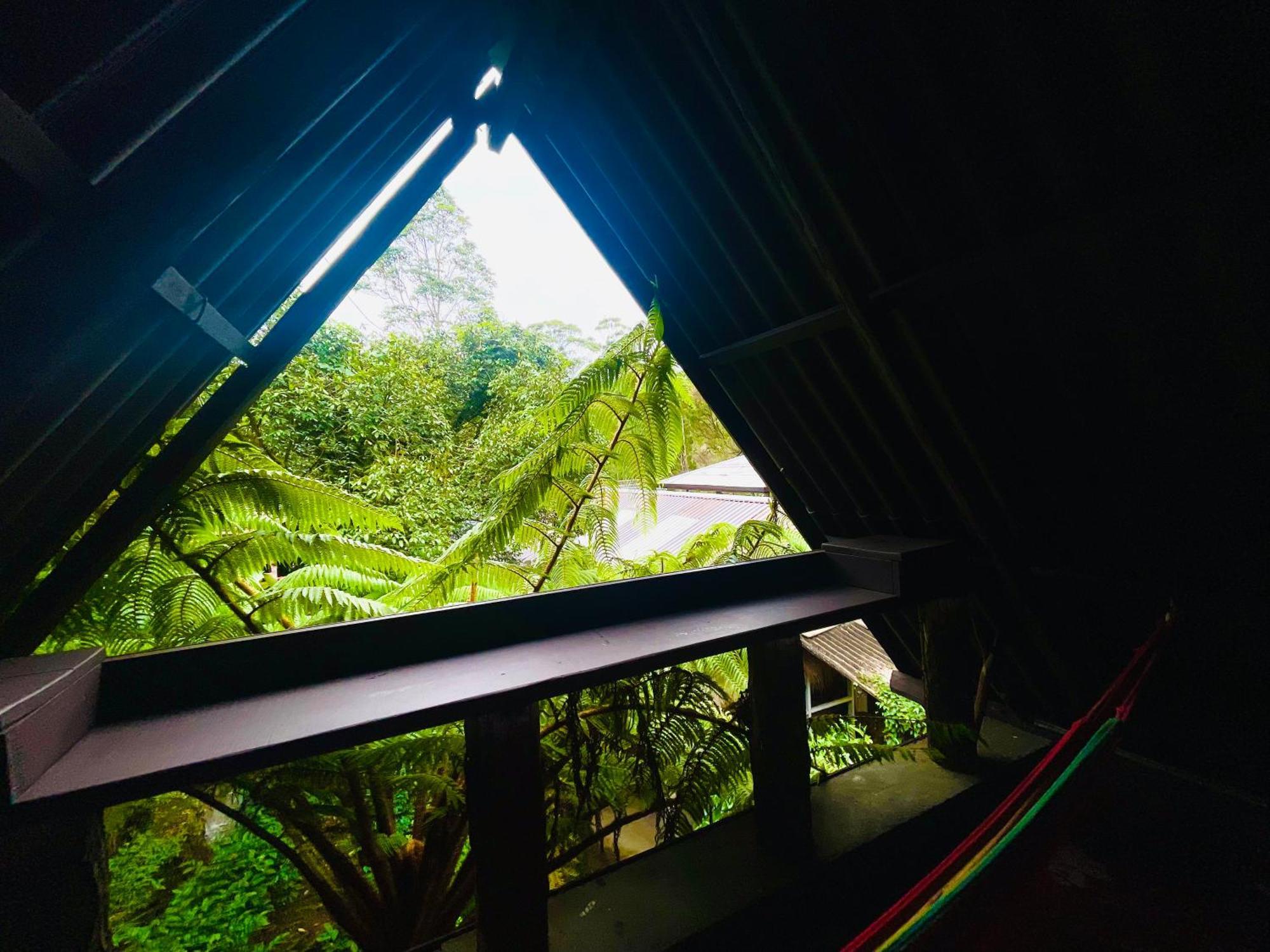 King Fern Cottage Nuwara Eliya Ngoại thất bức ảnh