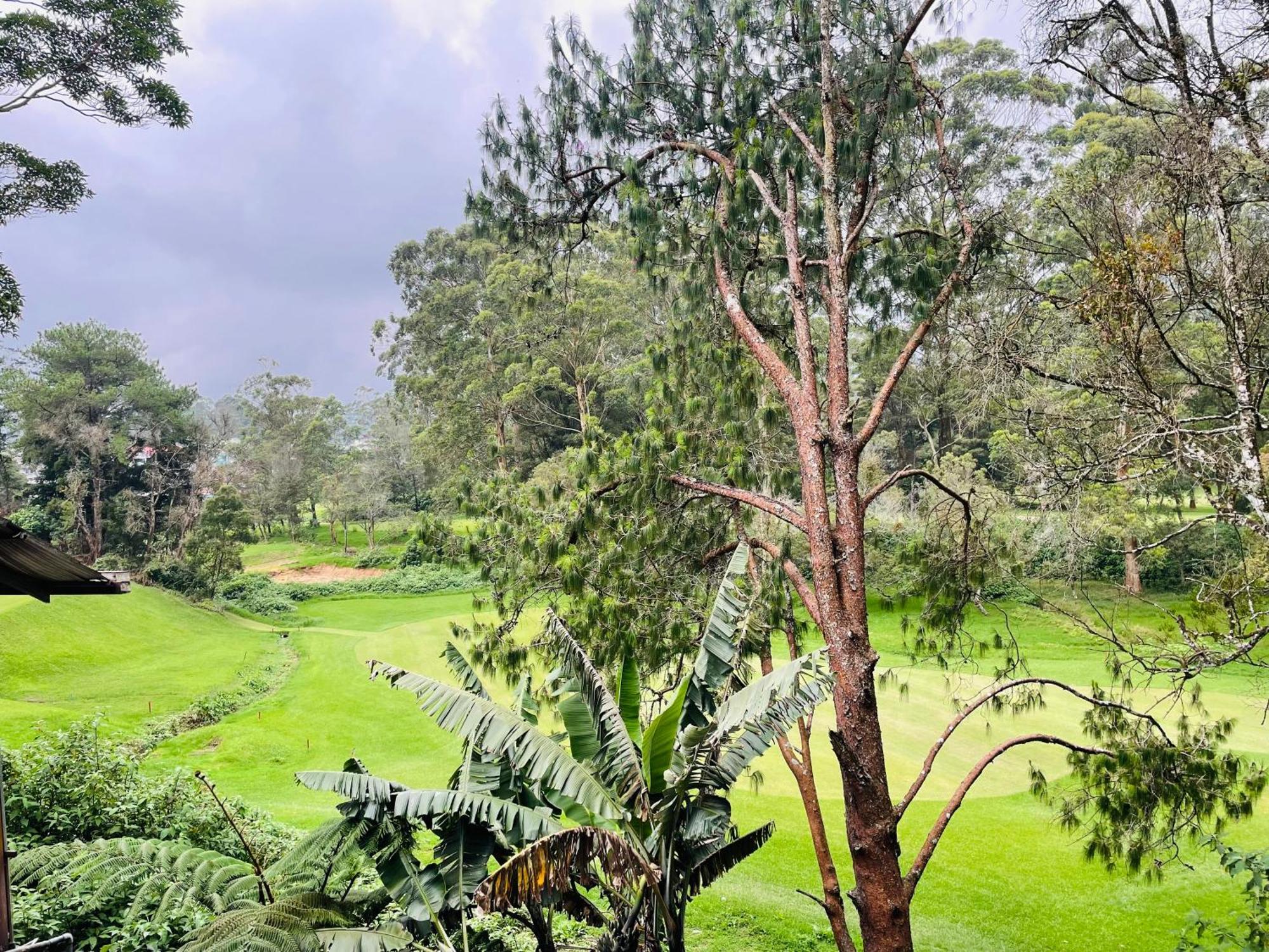 King Fern Cottage Nuwara Eliya Ngoại thất bức ảnh
