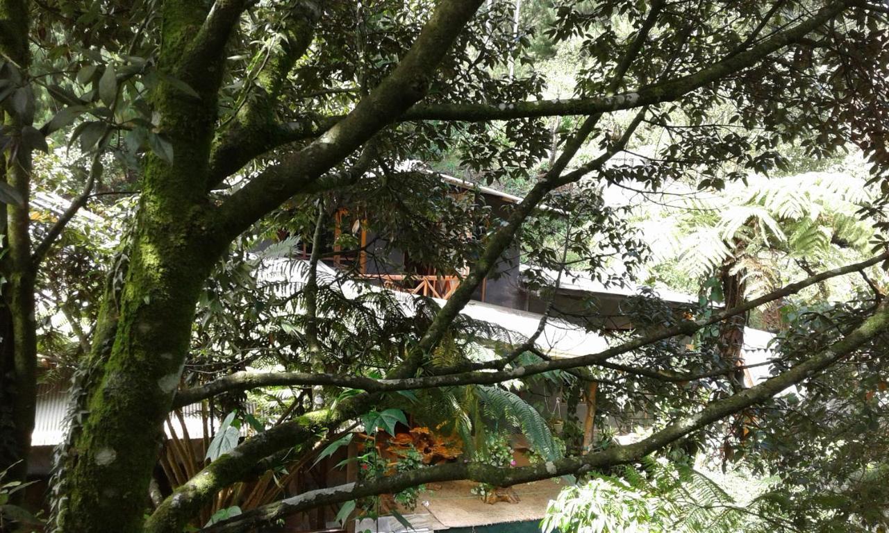 King Fern Cottage Nuwara Eliya Ngoại thất bức ảnh