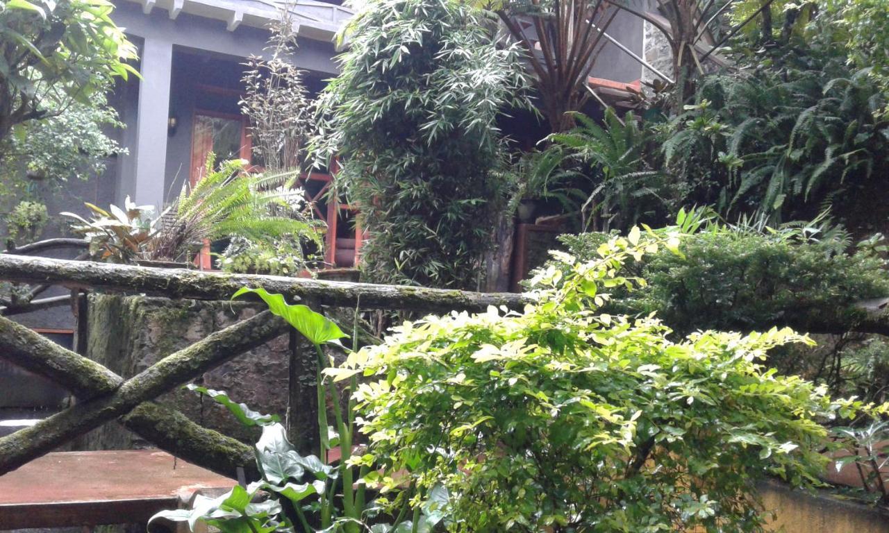 King Fern Cottage Nuwara Eliya Ngoại thất bức ảnh