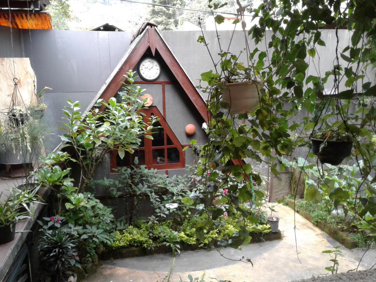 King Fern Cottage Nuwara Eliya Ngoại thất bức ảnh