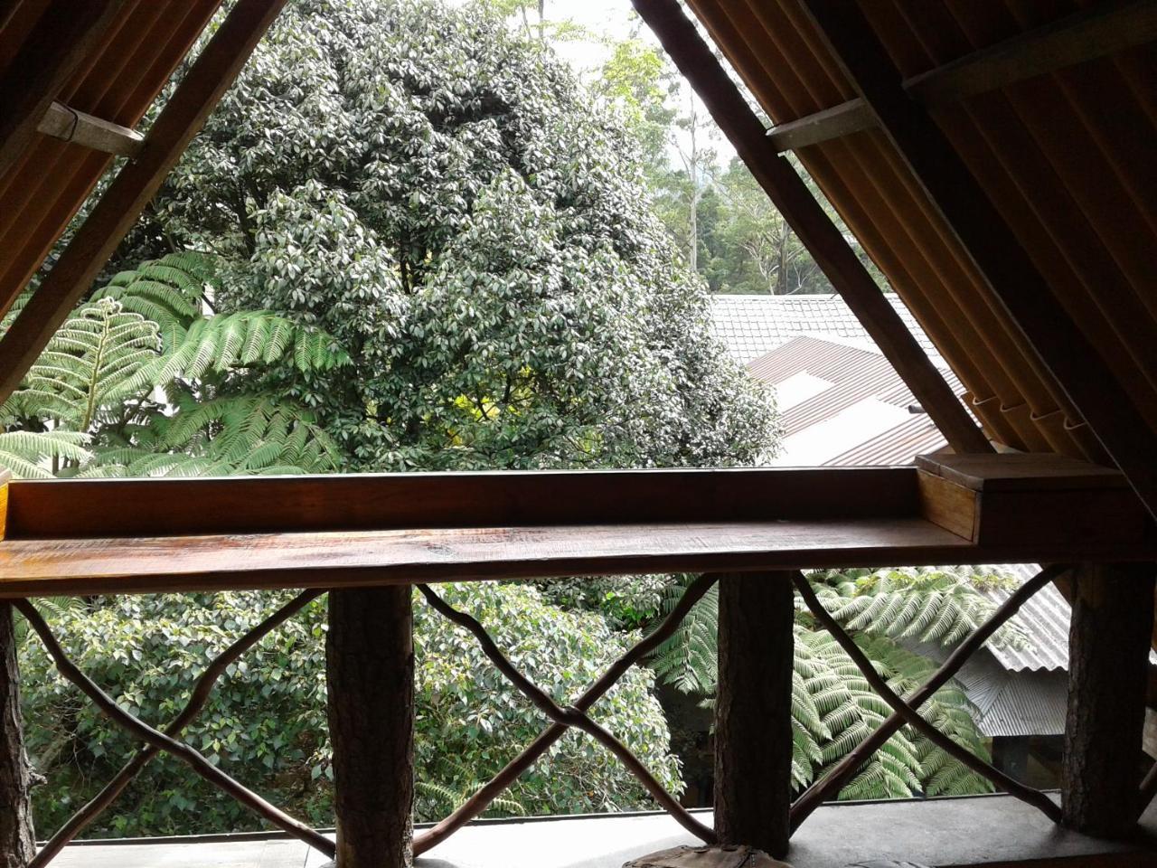 King Fern Cottage Nuwara Eliya Ngoại thất bức ảnh