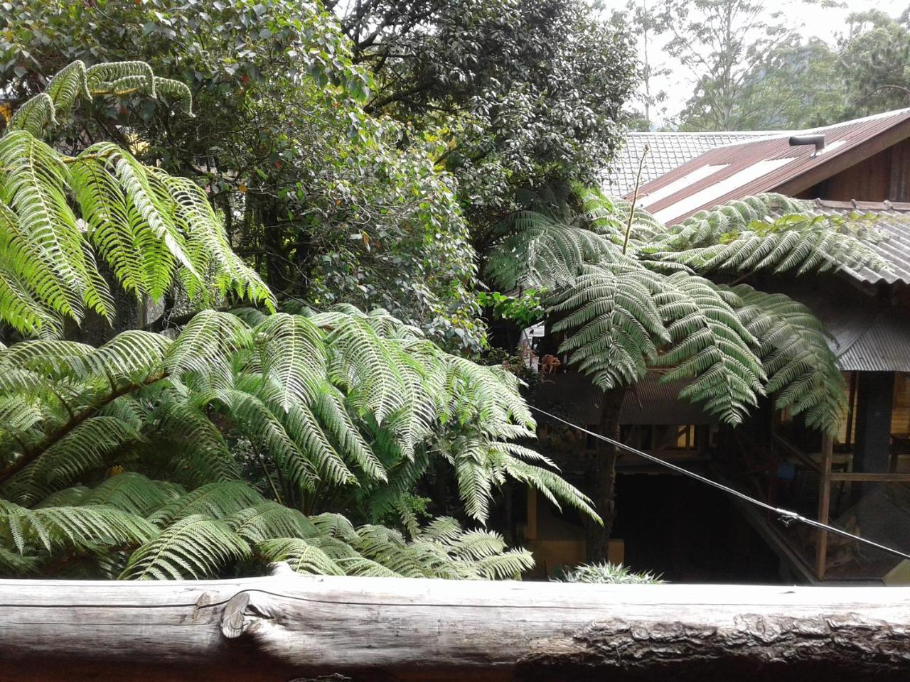 King Fern Cottage Nuwara Eliya Ngoại thất bức ảnh